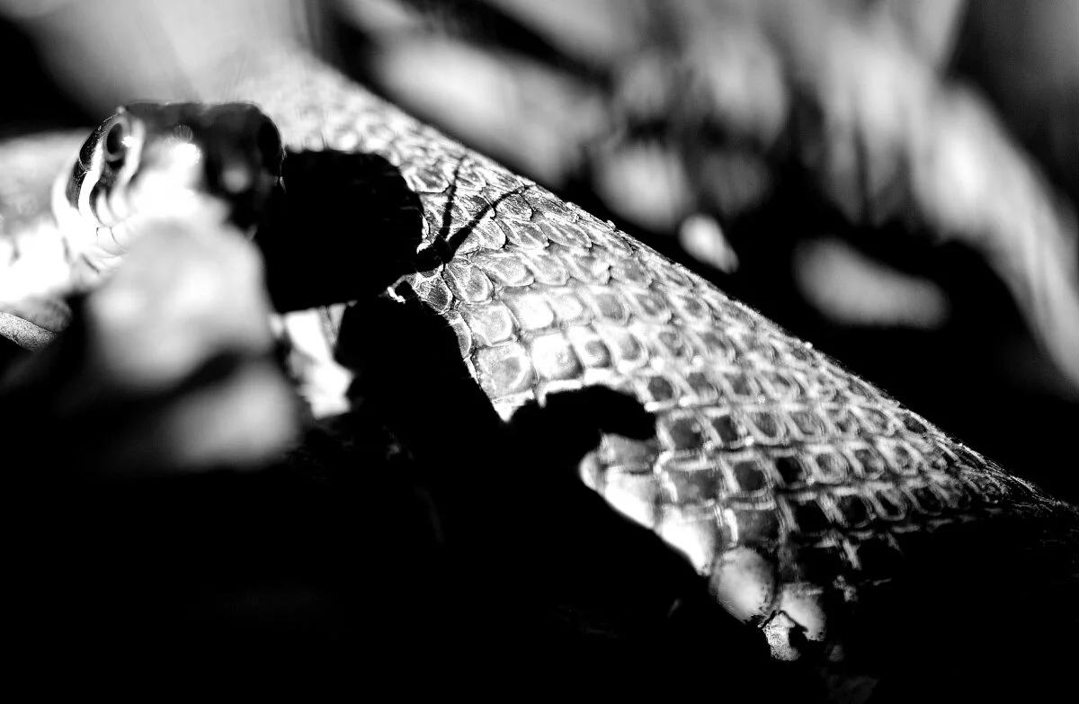 _DSC2360_01.jpg