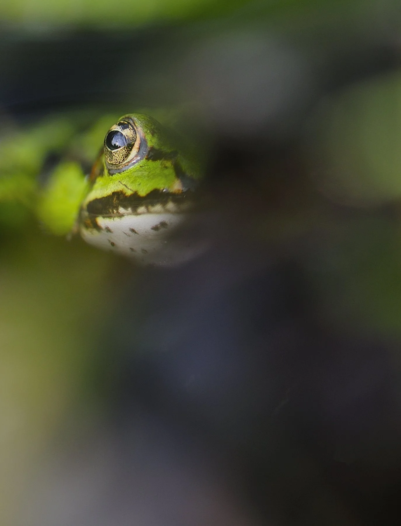 _DSC5547 affinity.jpg