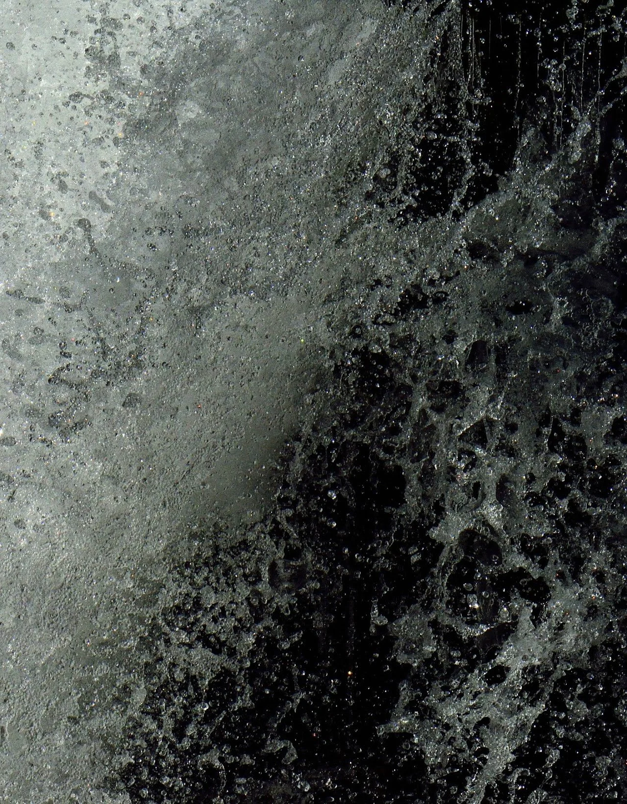 _D4N4316.jpg