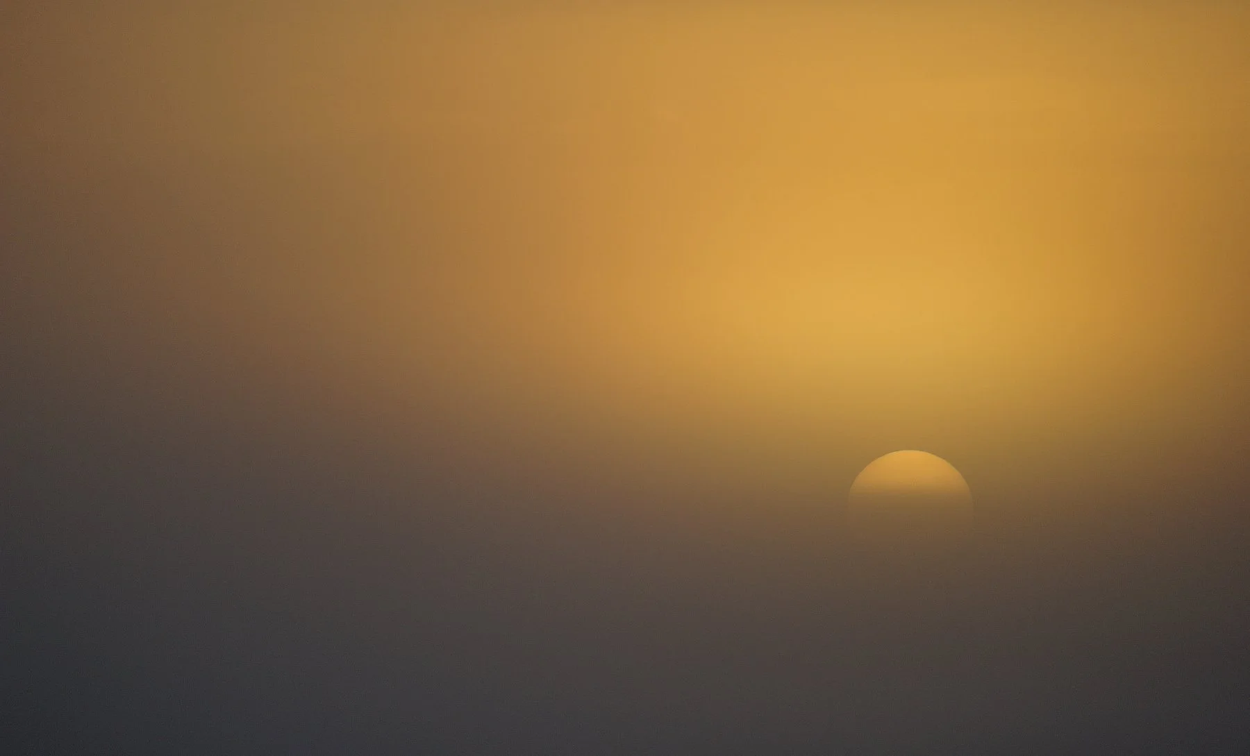 _DSC9960 affinity.jpg