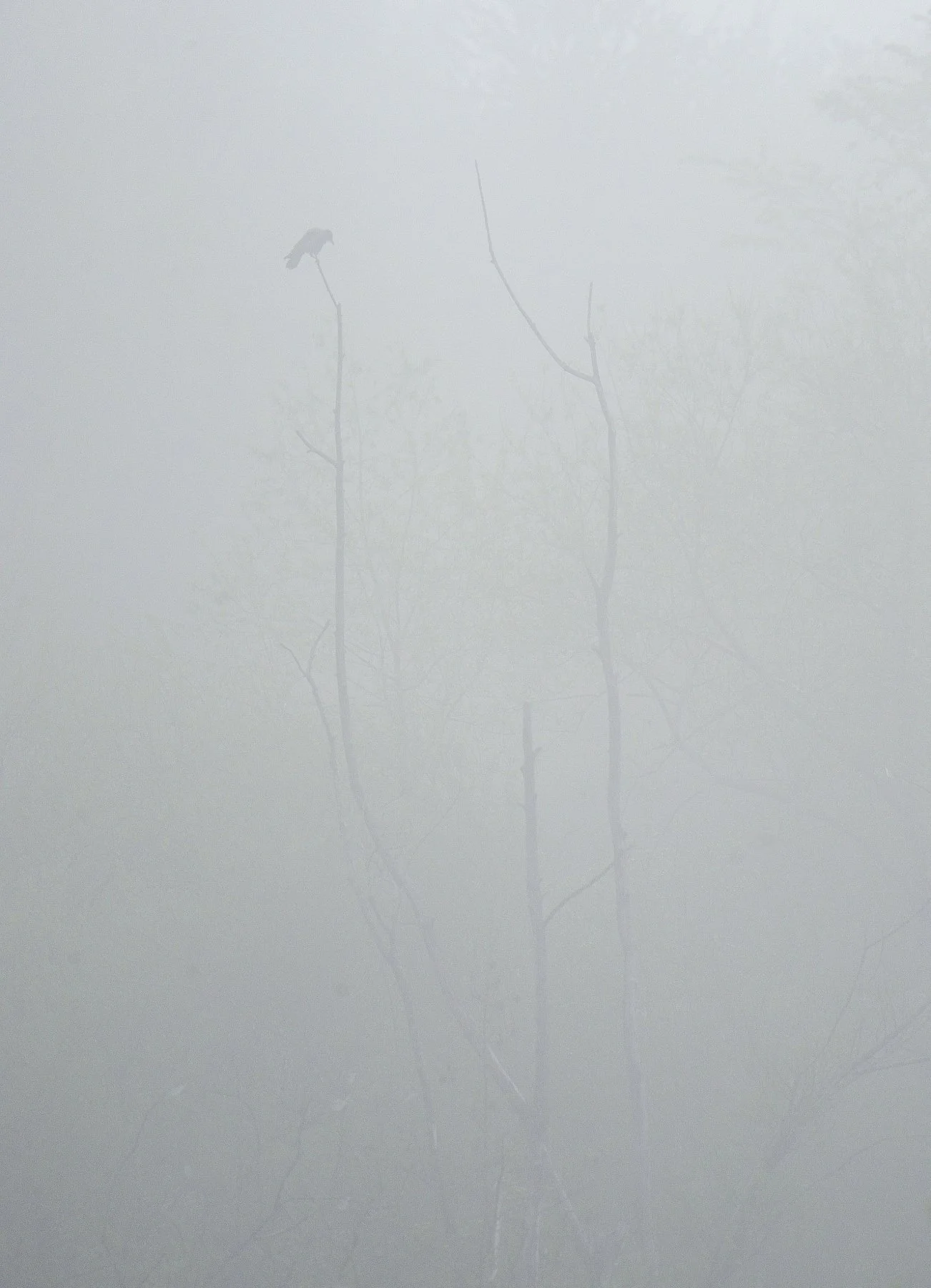 _DSC3514 affinity.jpg