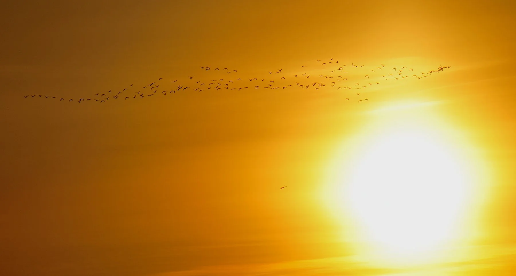 _DSC7550 affinity.jpg