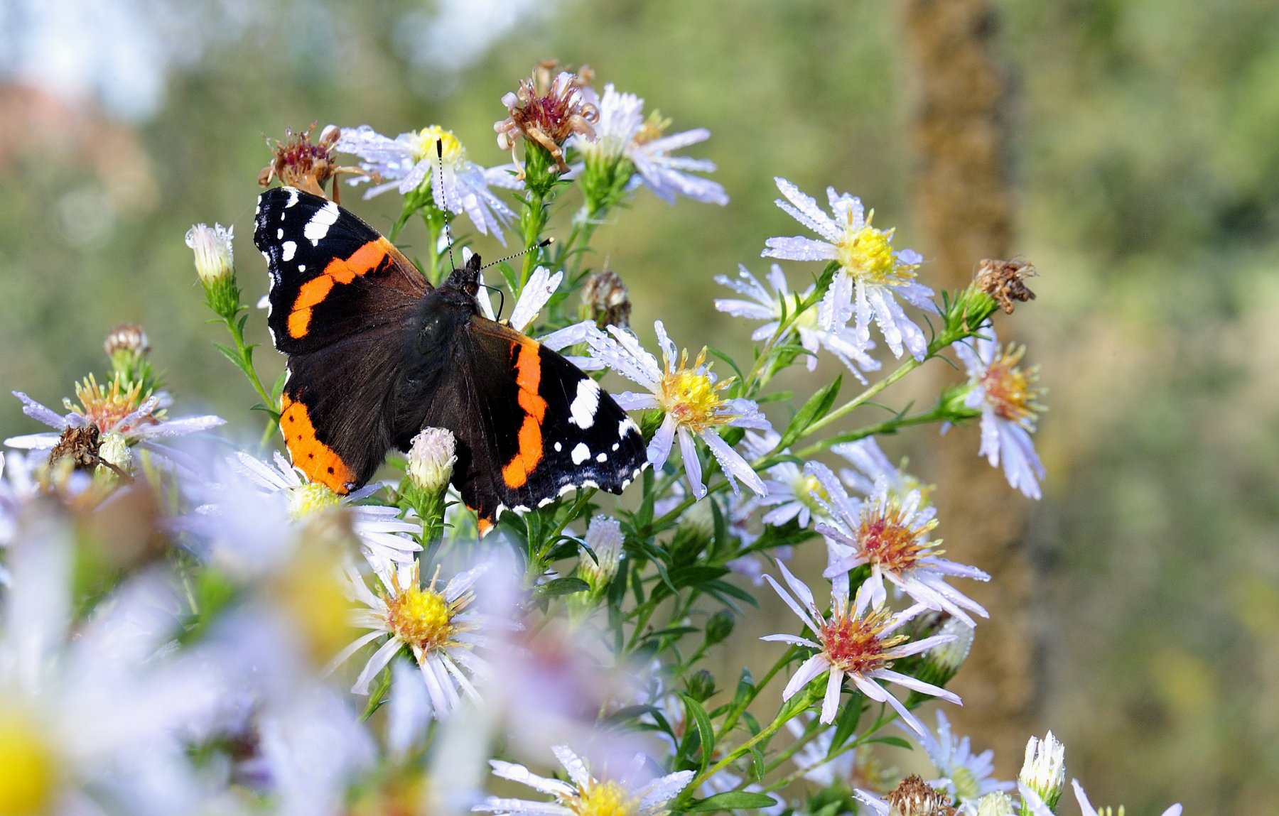 _DSC1015_01 affinity.jpg