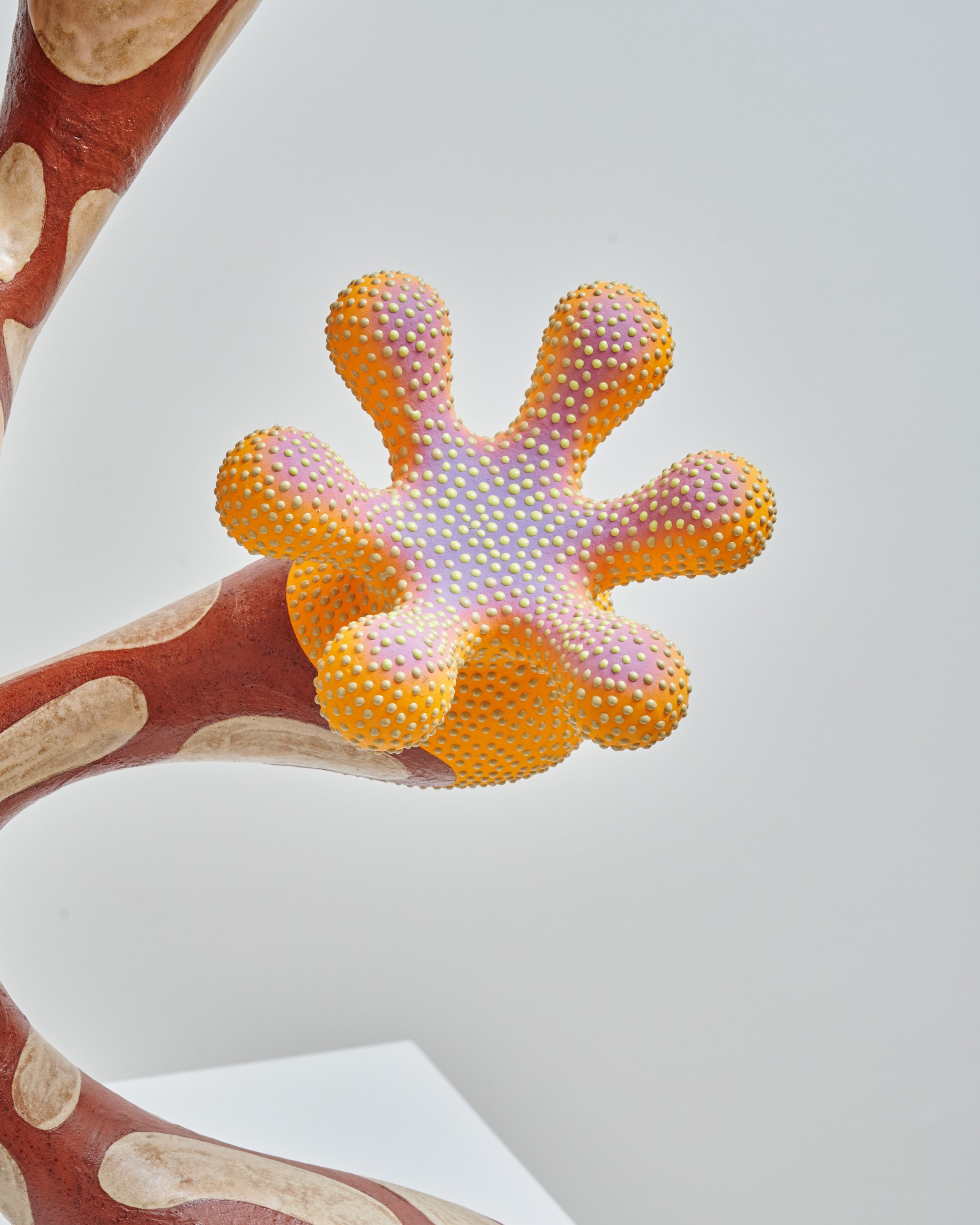 Close-up of a colorful, spiky rubber octopus toy held by a person's hand. Joël Brodovsky-Adams.