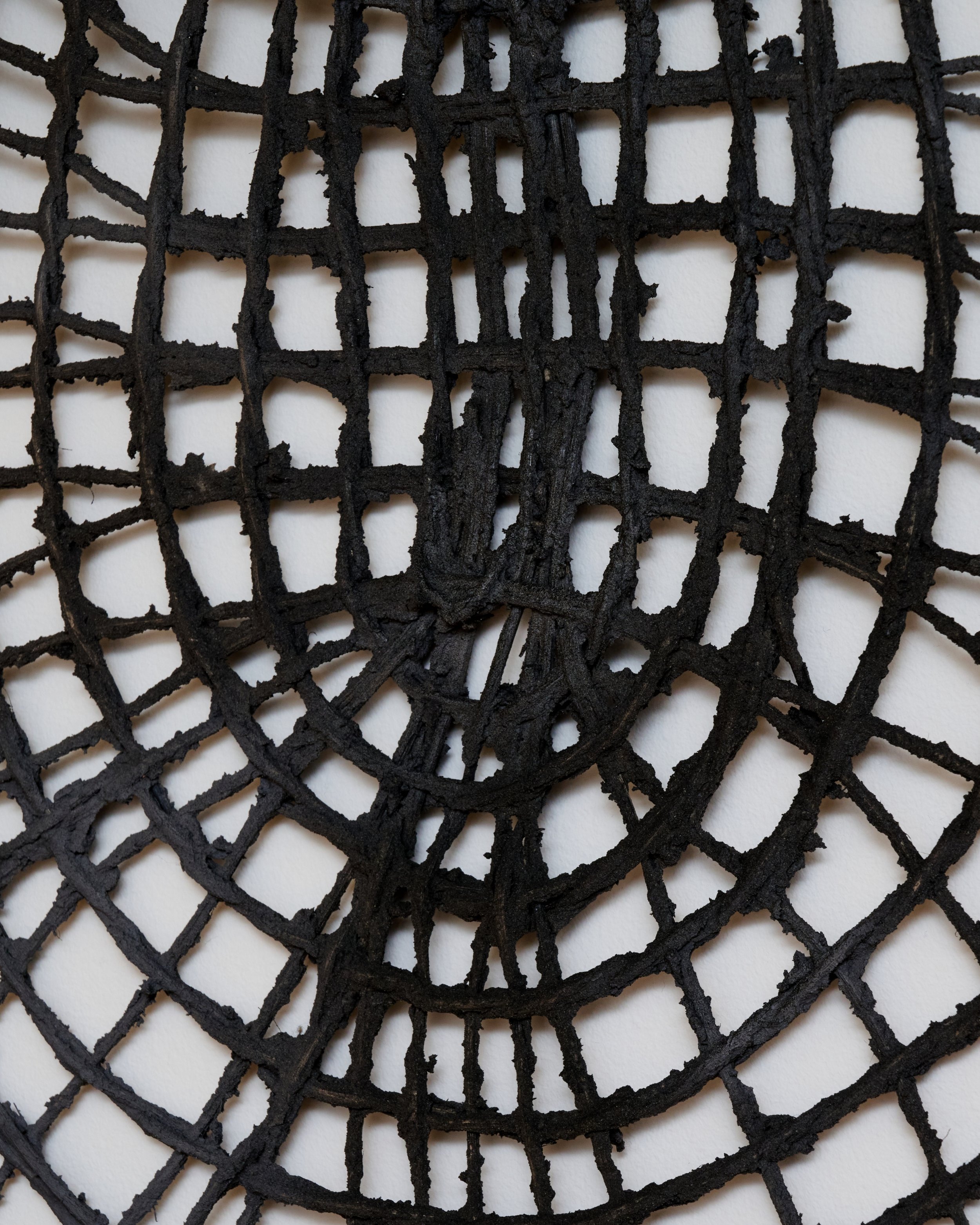 Close-up of a black spider web against a white wall