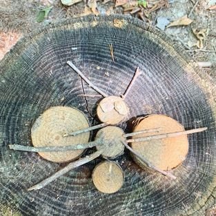 slow down butterfly wood.jpg
