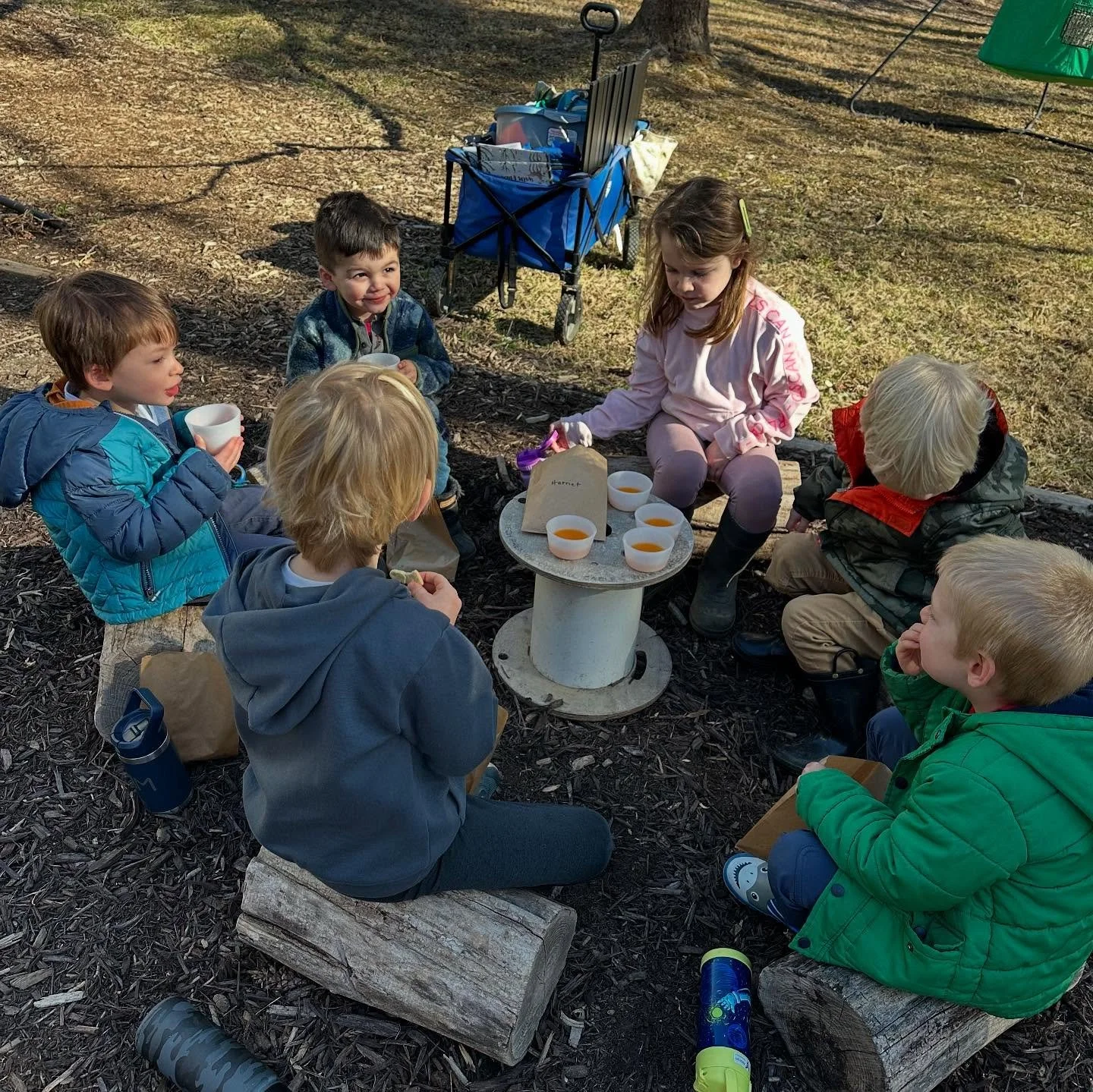 Excited About Emergent Learning