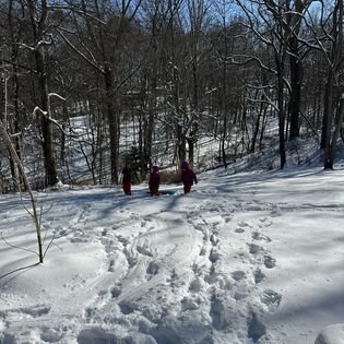 snow image.jpg