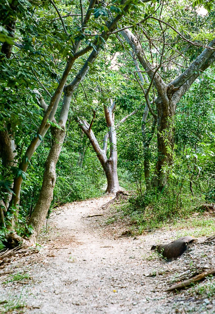 Fort View Nature Trail .jpg