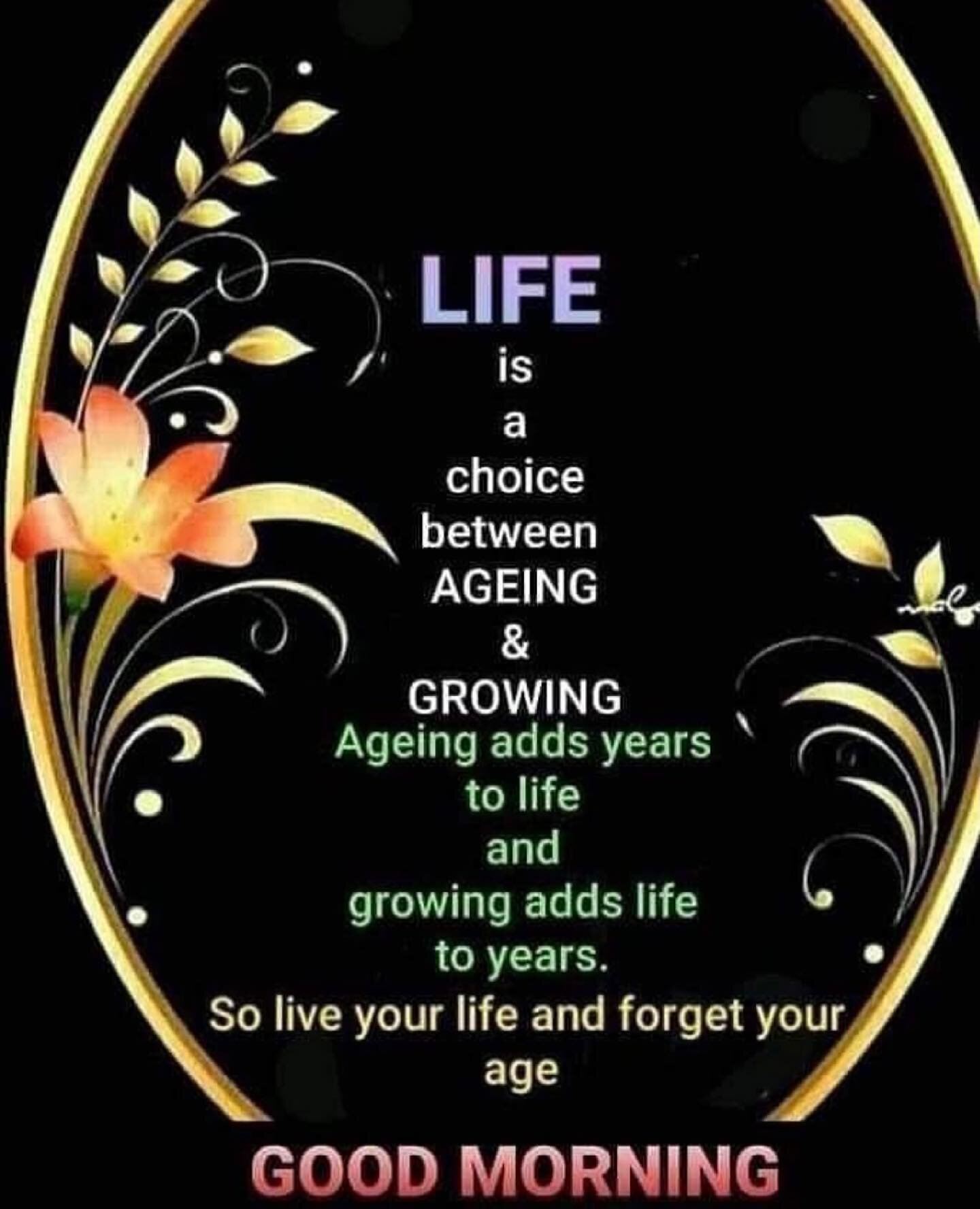 I had to repost 😀
I received this quote from my good friend @dreid47 and had to repost , it&rsquo;s an awesome quote , very much resonates with me . Thank you for sharing D.
Have a great Friday !
#live #liveyourbestlife 
#liveyourdreams #bestlife 
#