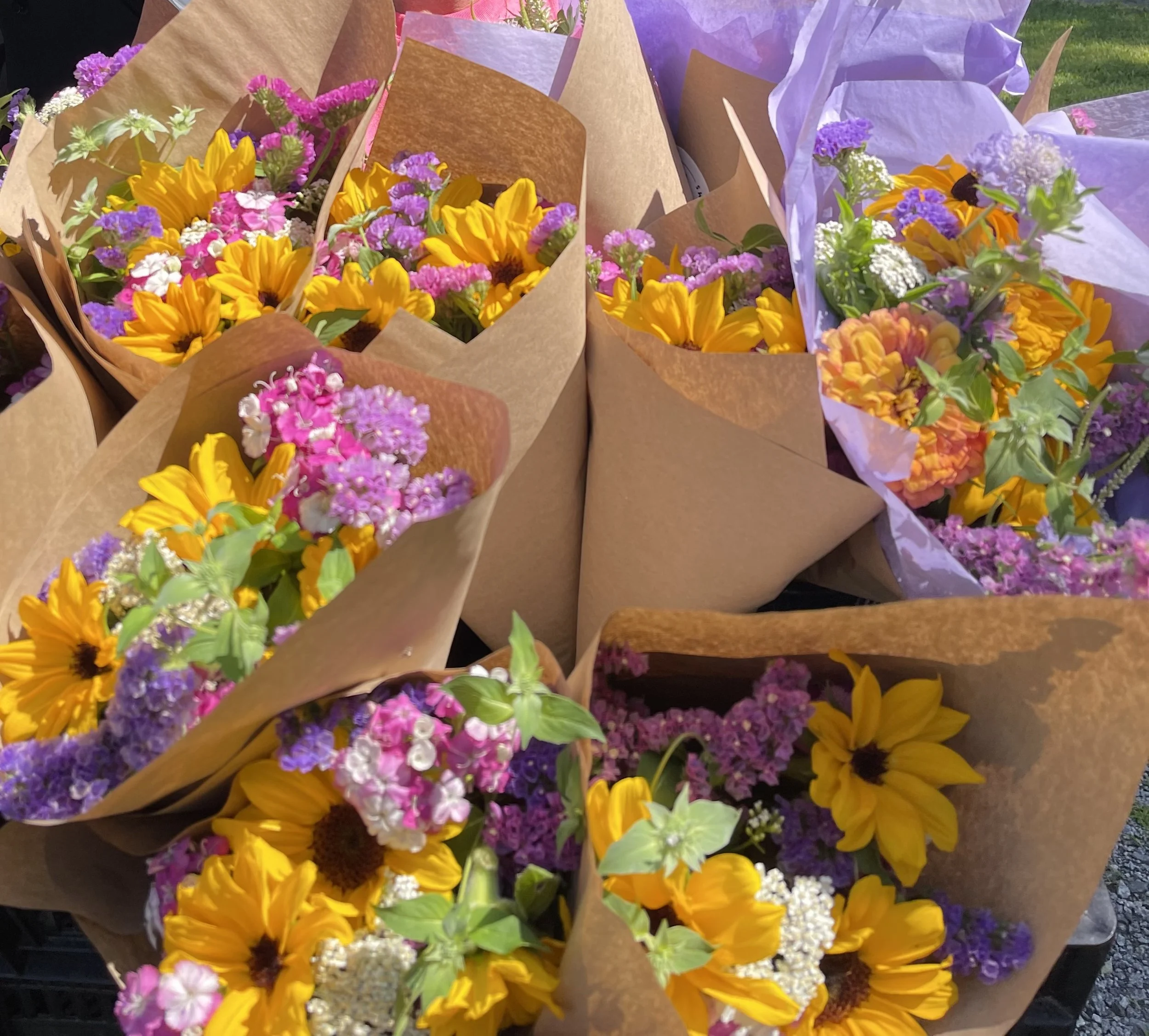 2–Season Flower Share