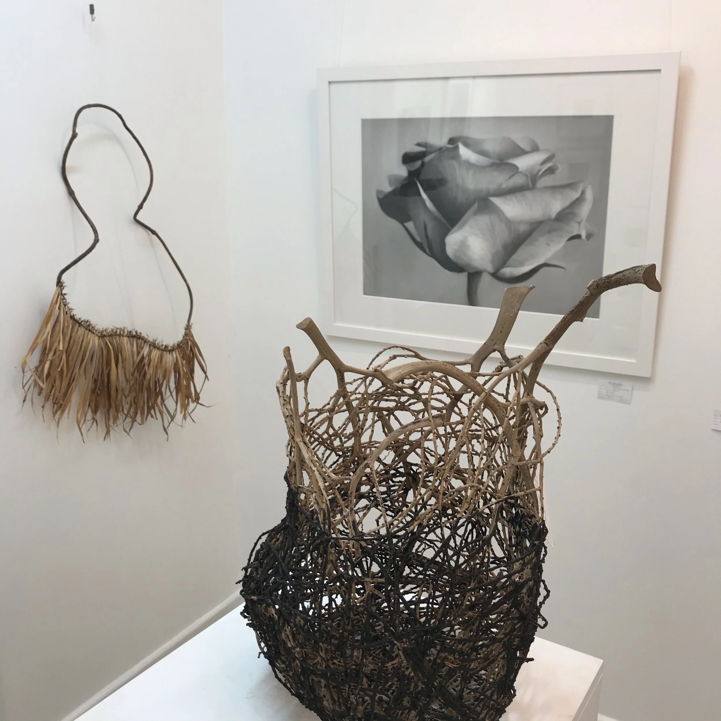 Art Gallery on Palm Beach