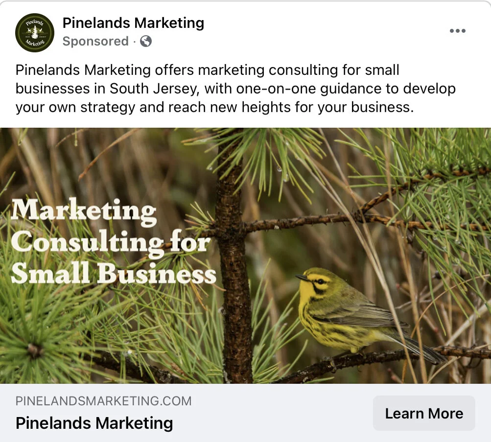 FB Ad Blog_Main Header.jpg