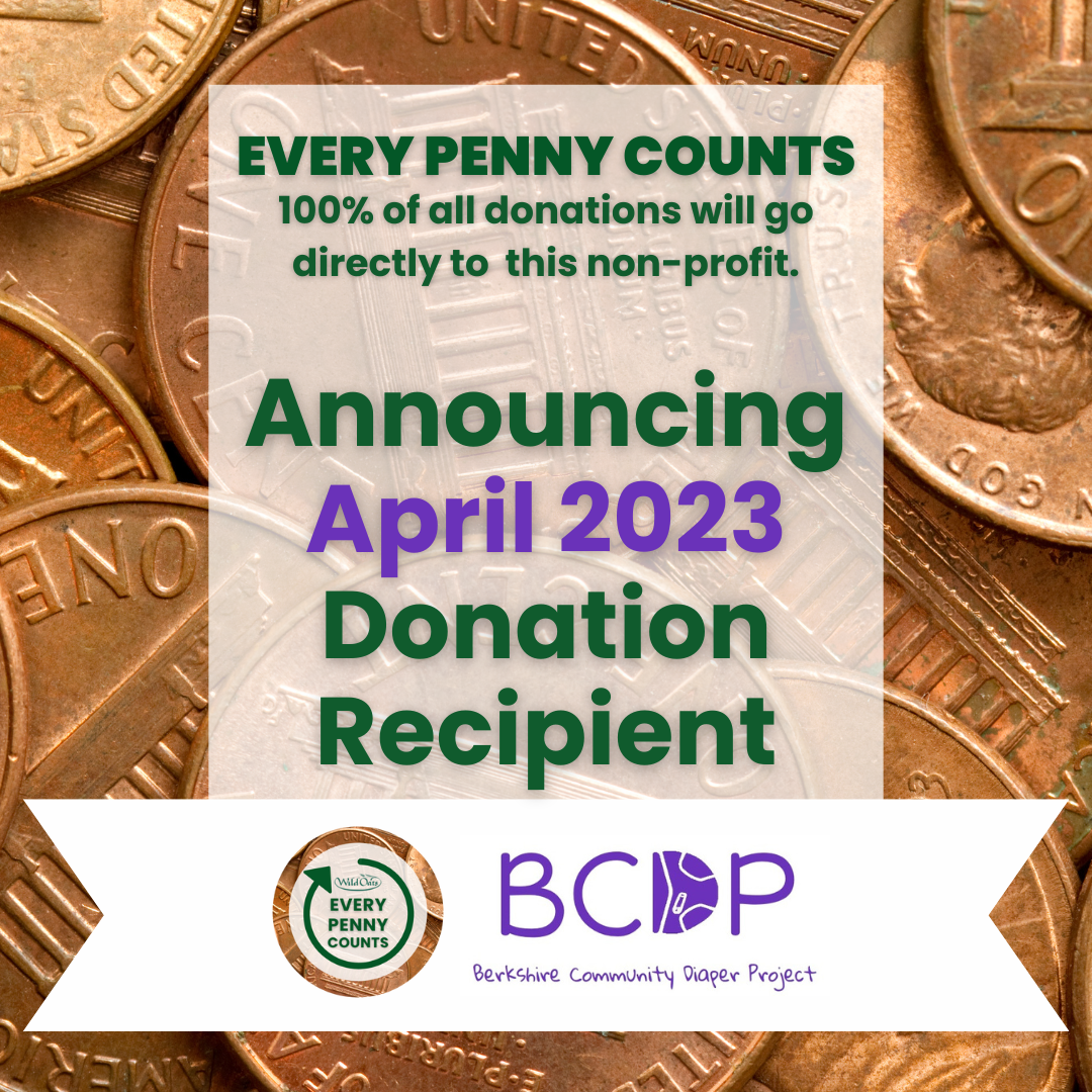 Every Penny Counts April 2023 Berskshire Community Diaper Project at Wild Oats Market Announcement.png