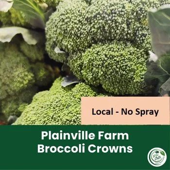 WWD July 6-12-2023 (17) Broccoli.jpg
