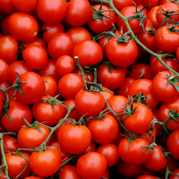 Cherry Tomatoes.png