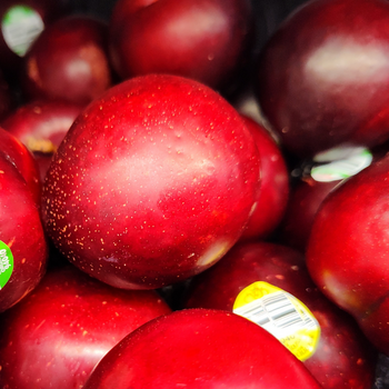 Plums.png