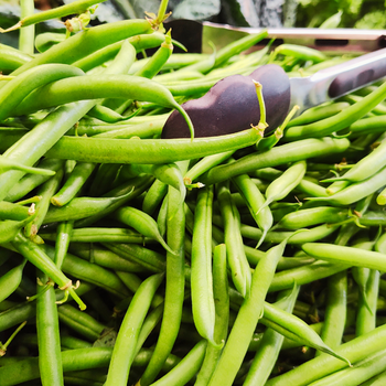 Green Beans.png