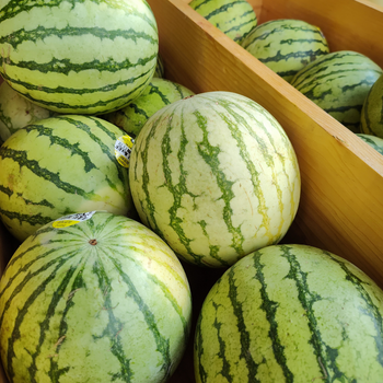 Watermelon.png