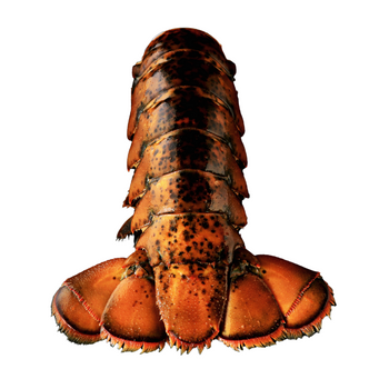 Whole Lobster Tails.png