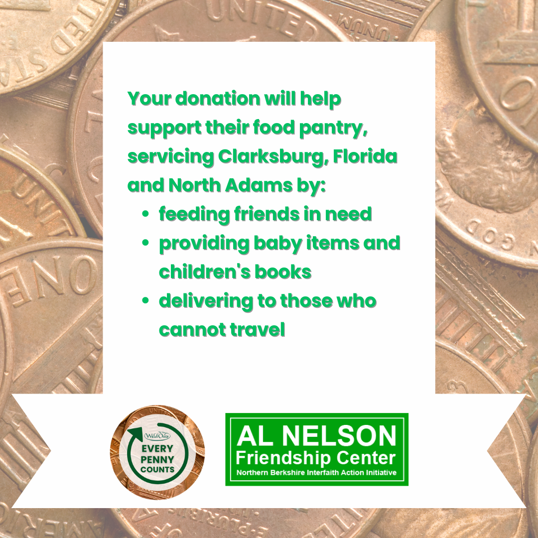 Every Penny Counts  August Al Nelson Friendship Center (1).png