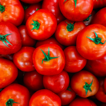 Tomatoes.png