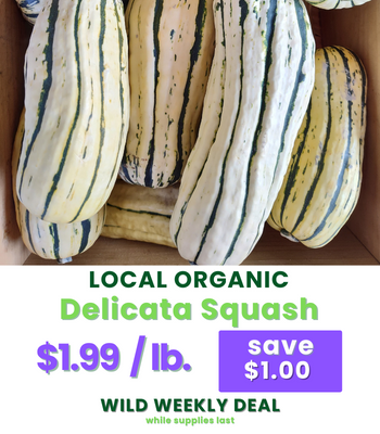 Delicata Squash.png