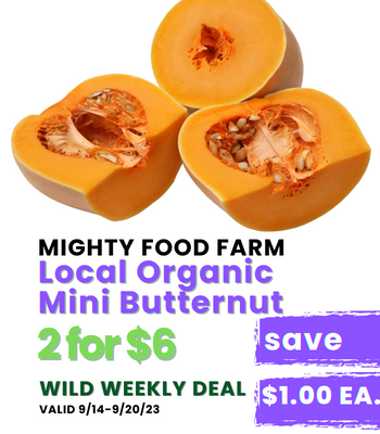 Local Organic Mini Butternut.png
