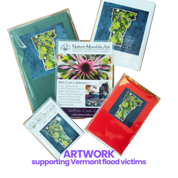 Art Artwork to Support Vermont Flood Victims.png