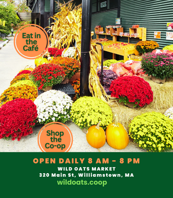 Shop the Coop Mums Fall Time.png