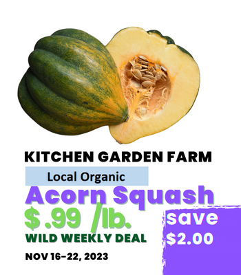Acorn Squash.png