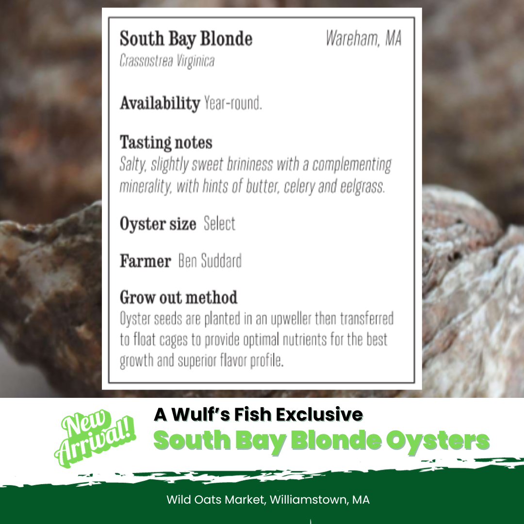 Wulf's Fish South Bay Blonde Oysters Info Wulf's Fish Exclusive at Wild Oats Market.png