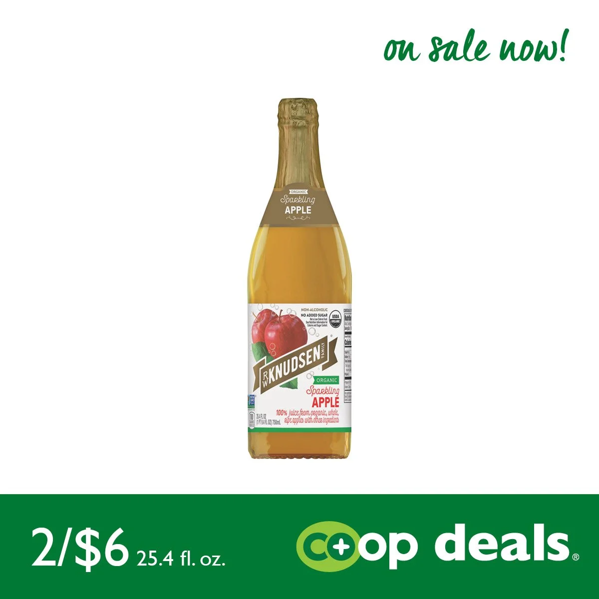 B-1-R.W. Knudsen-Organic Sparkling Apple Juice.jpg