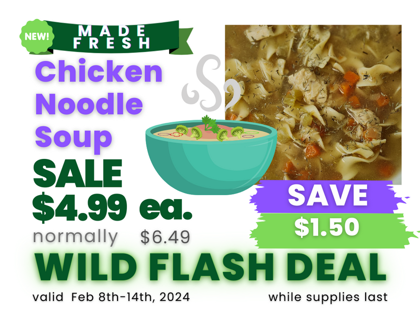 Chicken Noodle Soup.png