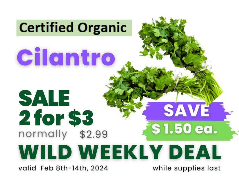 Cilantro.png