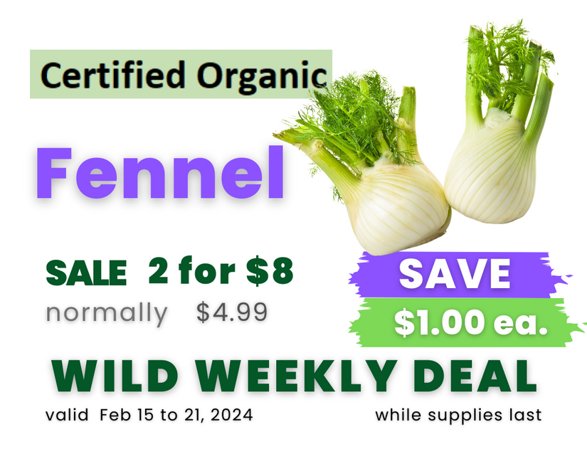 Fennel.png