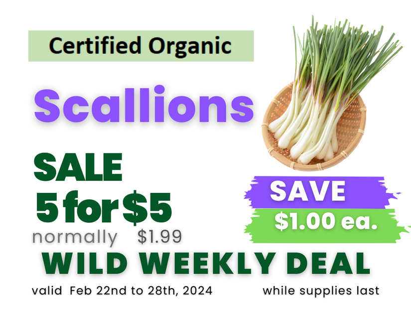 Scallions.png