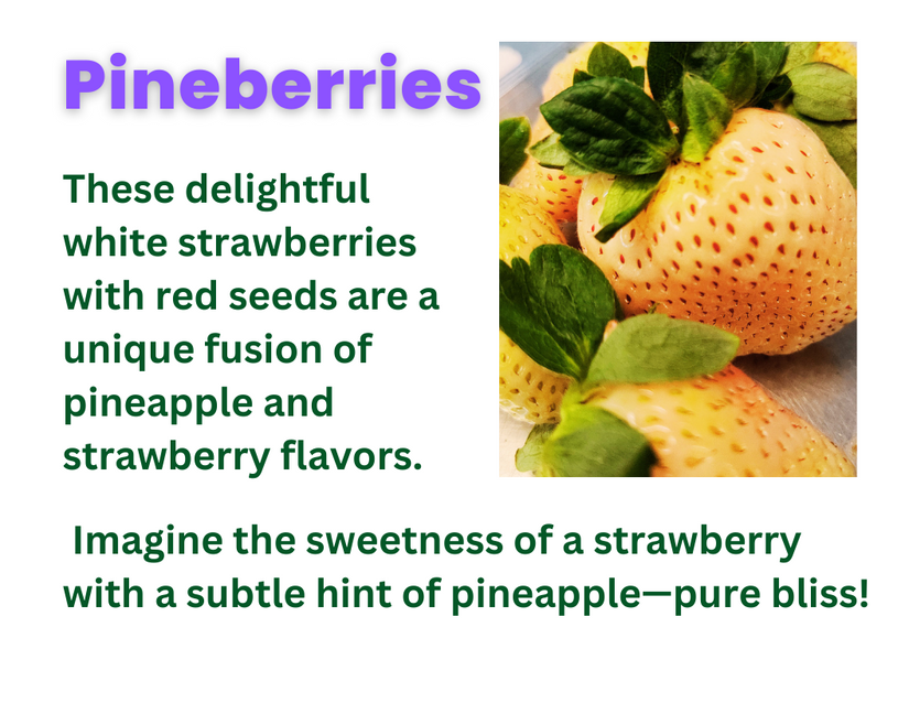 Pineberries info.png