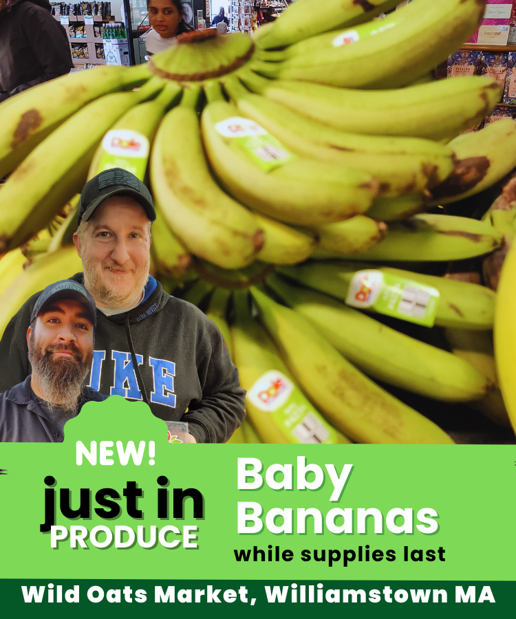 Baby Bananas just in at Wild Oats Market in Williamstown MA.png