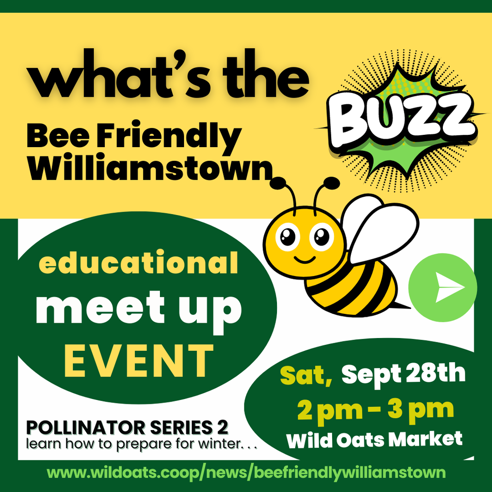 Bee Friendly Pollinator Series 2 Learn How-To Social Post (1).png