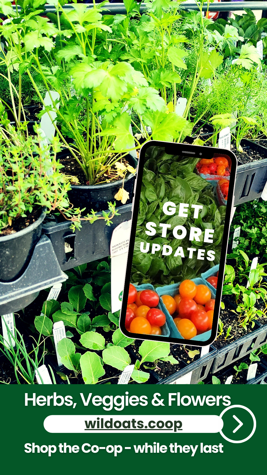 Come get it at Wild Oats Market.png