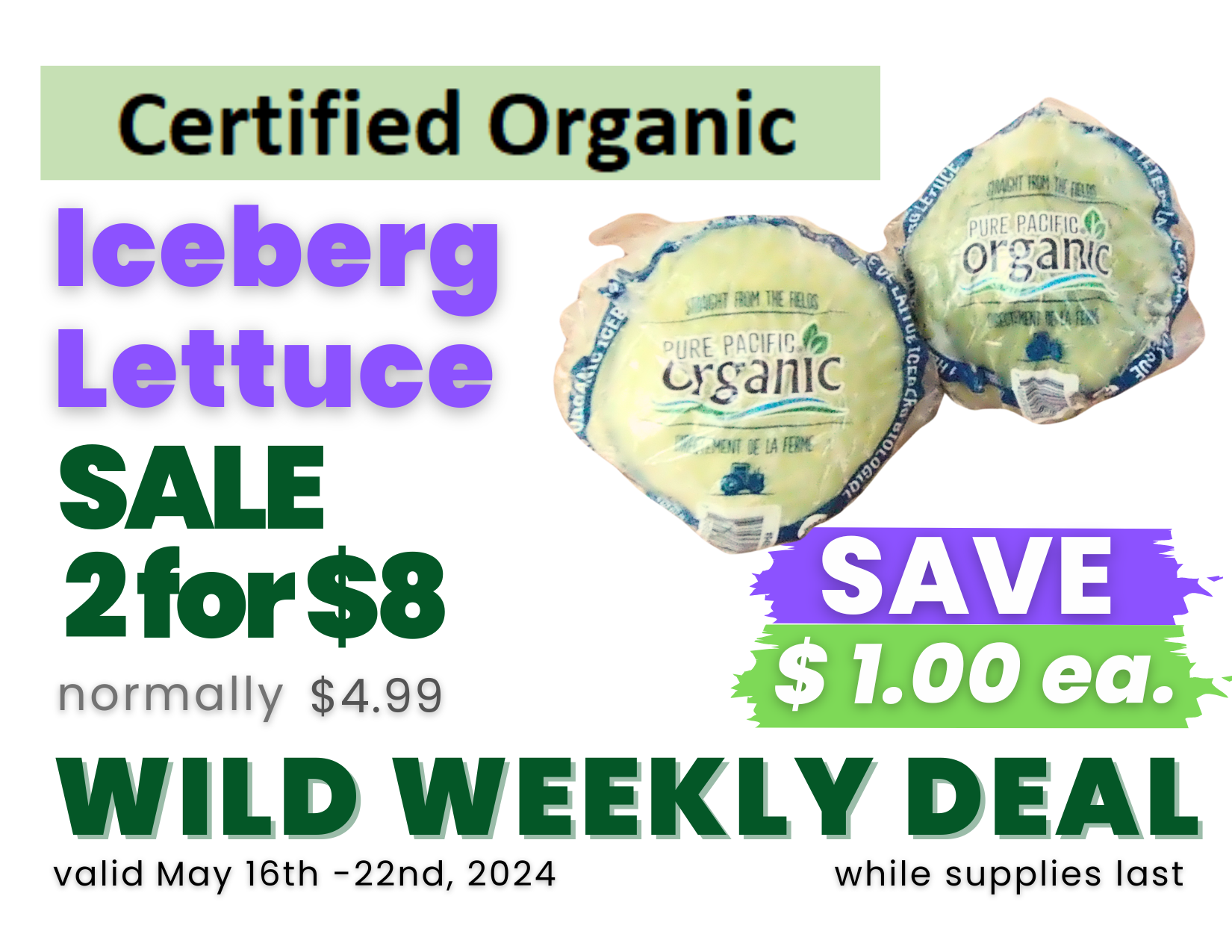 Produce - Iceberg Lettuce.png