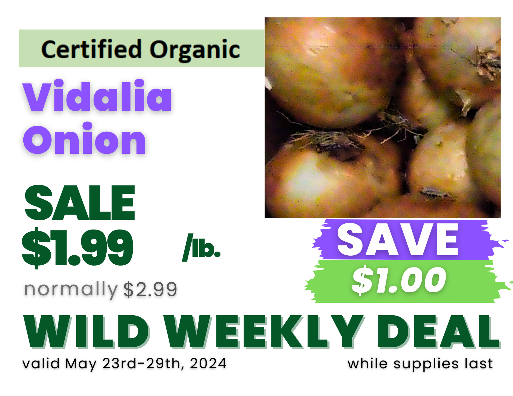 Vidalia Onion.png