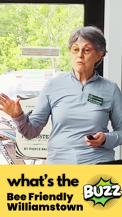 1 Bee Friendly Williamstown Diane Van Kempen.png