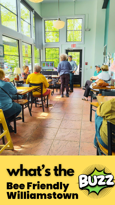 3 Bee Friendly Williamstown Pollinators Event in Cafe.png