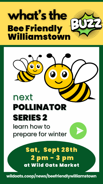 Bee Friendly Educational Meet Up at Wild Oats Market - learn how to prepare pollinator gardens for winter (Copy) (Copy) (Copy)
