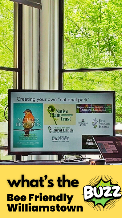 5 Bee Friendly Williamstown Pollinators Books to read.png