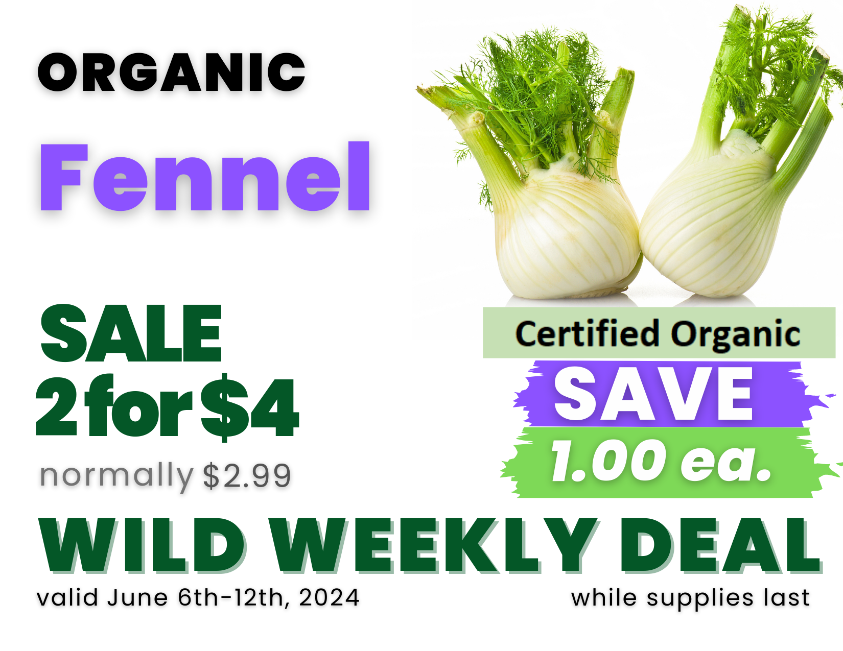Produce - Fennel Organic.png