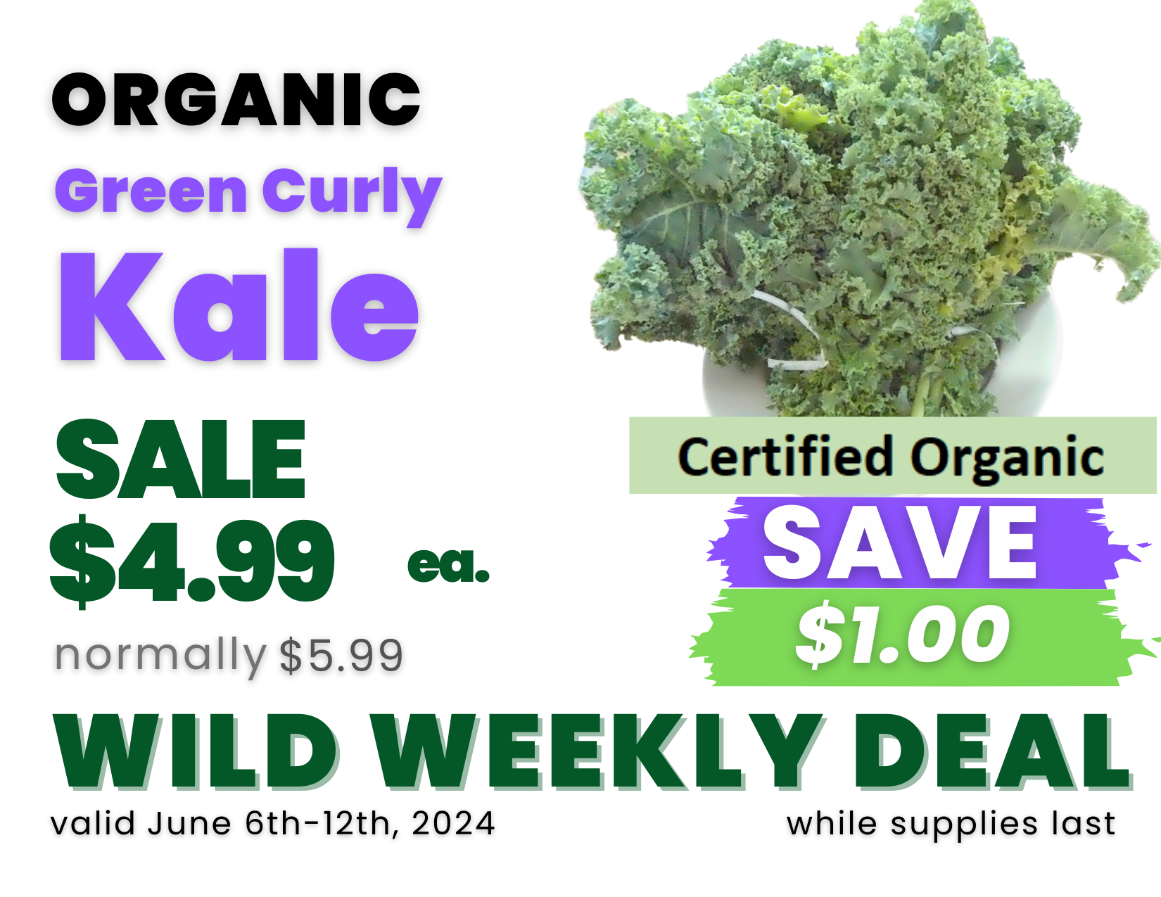 Produce - Green Curly Kale Organic.png