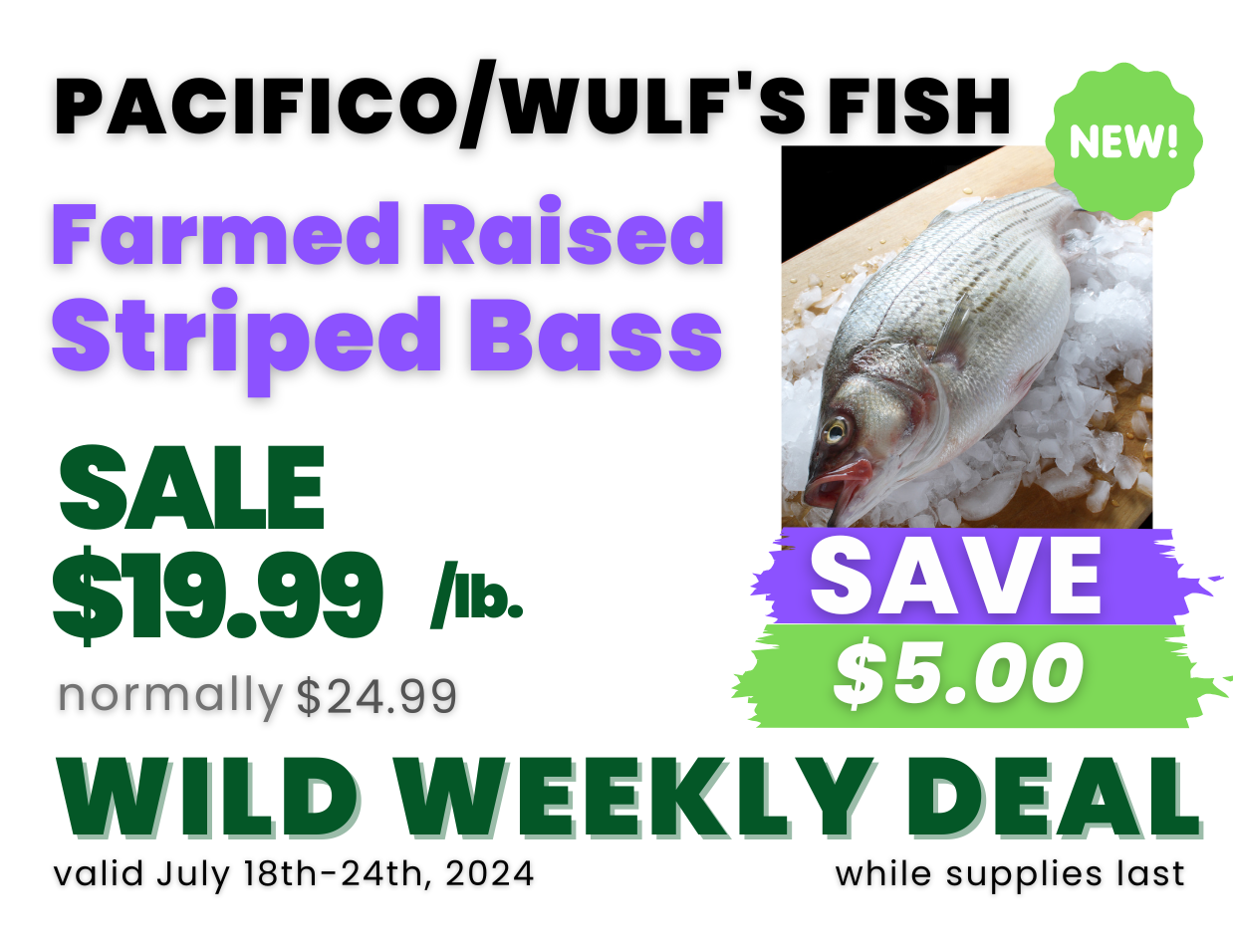 Farmed Raised Striped Bass